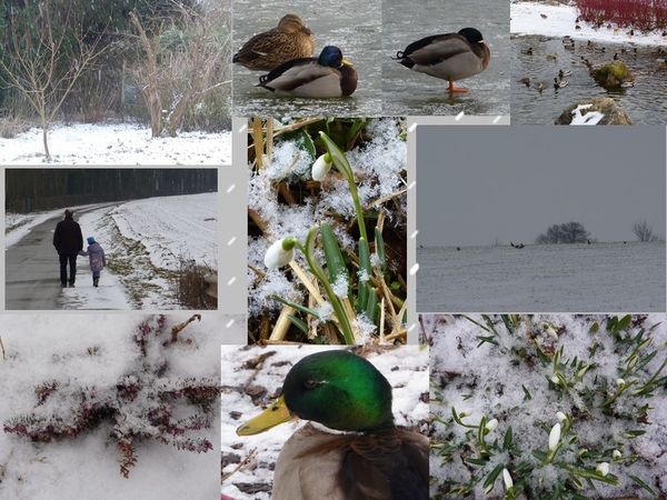 froid
