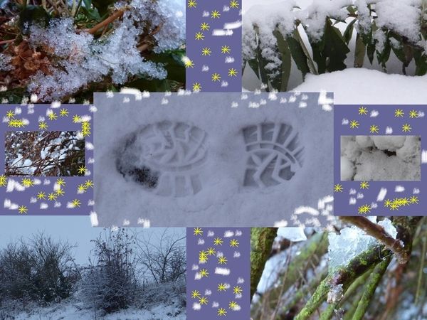 NEIGE FONDANTE