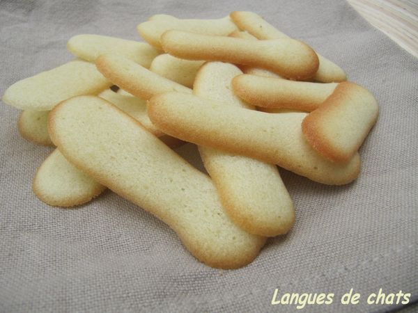 juin2011-6489.JPG