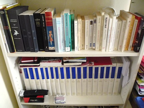 P1020155.JPG