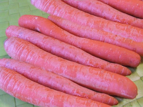 terrine carottes (2)
