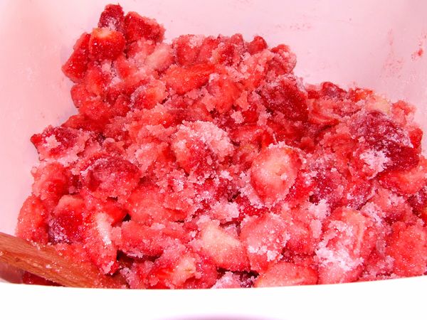 confiture (23)