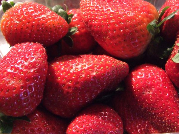 confiture (5)