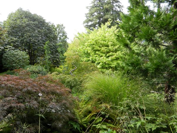 jardin forêt