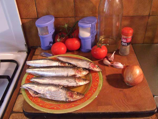 sardines (2)