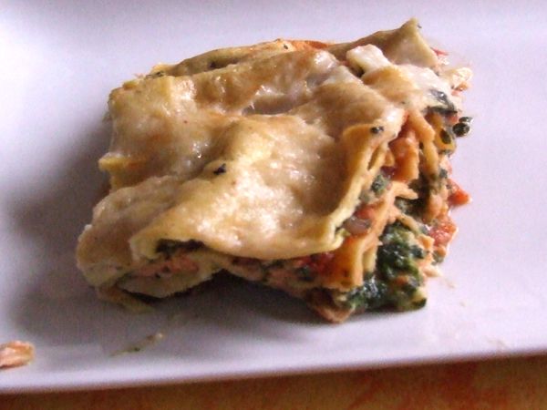 lasagnes épinards deux saumons (37)