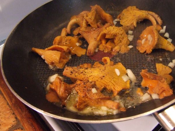 escalopes de dinde et girolles (8)