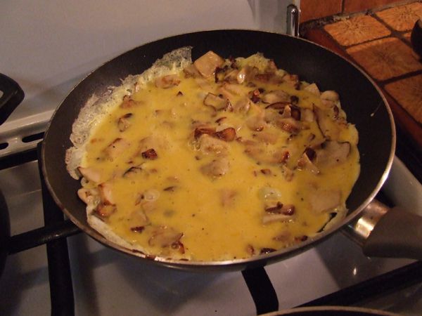 omelettes aux cèpes (17b8)