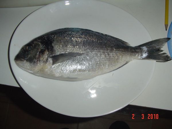 DSC0970580