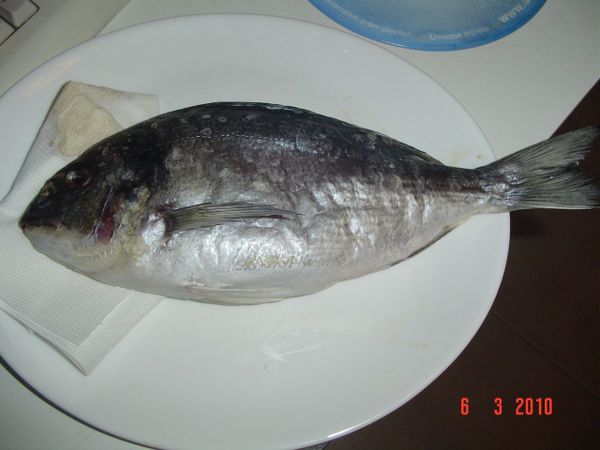 DSC0970680.jpg