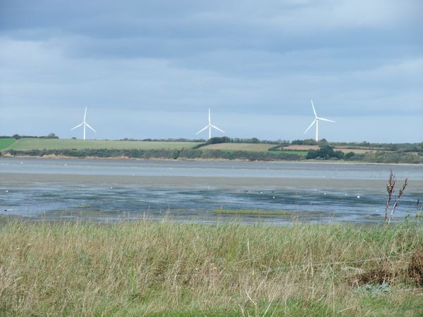 DSCF9467.JPG