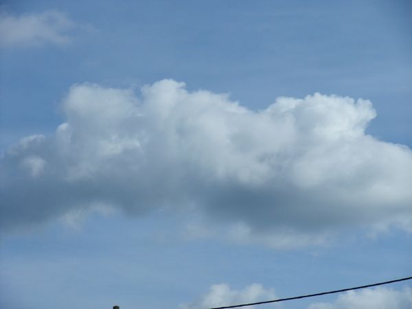 DSCF9469.JPG