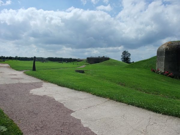 DSCF8786.JPG