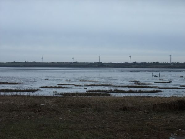 DSCF4433.JPG