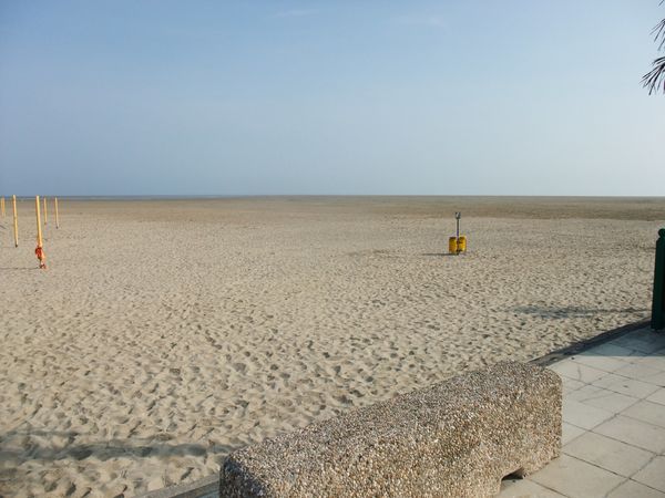 DSCF1114.JPG