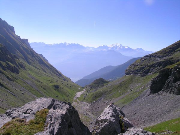 DSCN5328.jpg