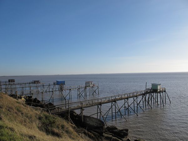 port des barques janv 2010 (12)