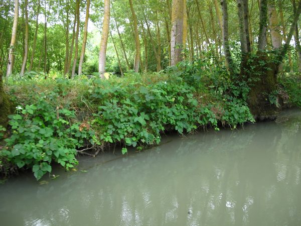 st-hilaire-la-palud--202-.JPG