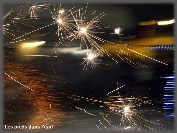 voeux2012.jpg