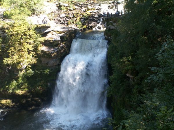 PICT0040.JPG