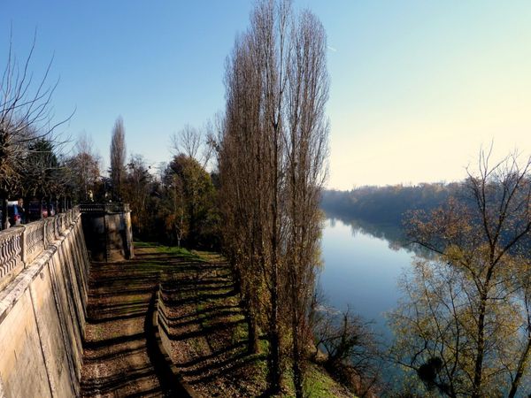 U20 - Arbres au bord de l'eau