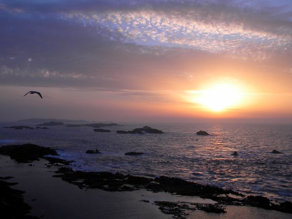 Essaouira, Maroc - 14 janvier 2012