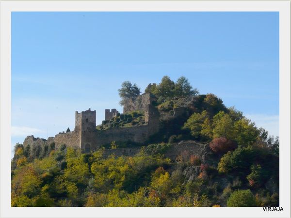2011-11-032-copie-2