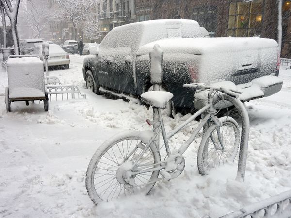 snow 010