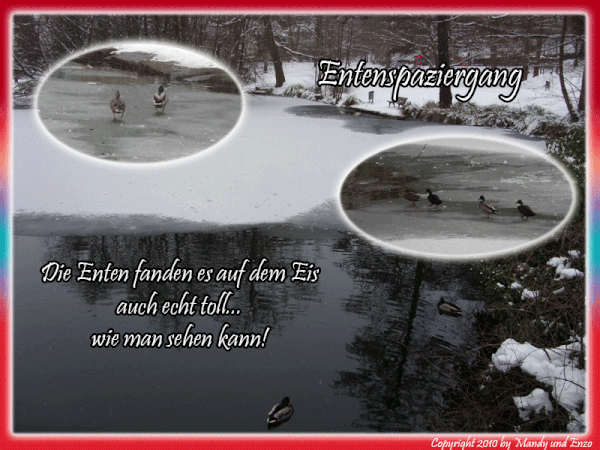 entenspaziergang.gif