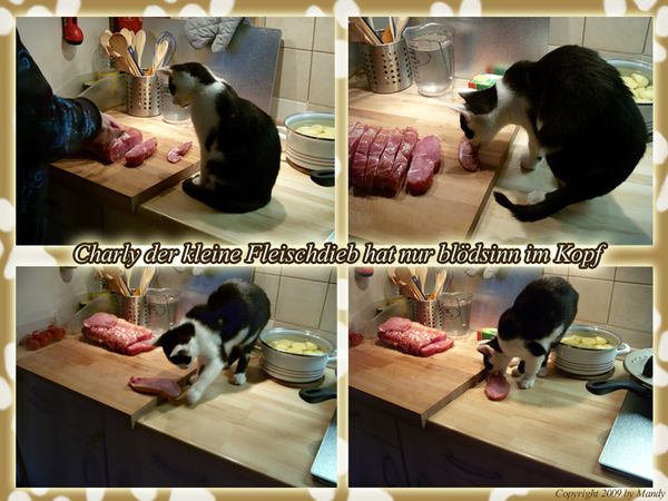 fleischdieb