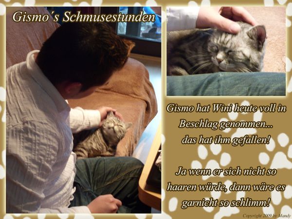 schmusestunde.jpg