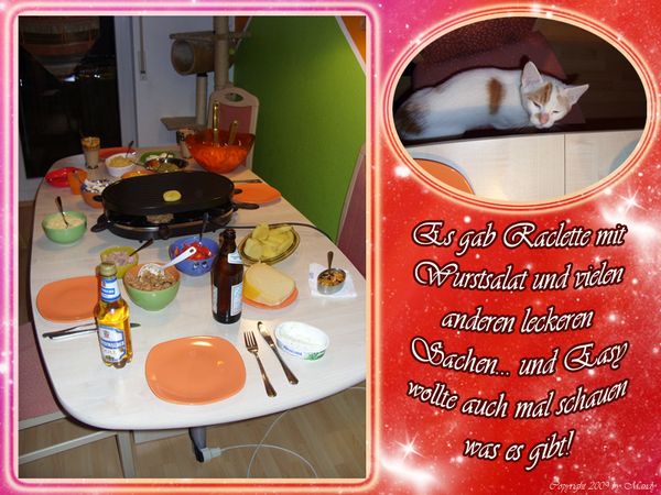 silvester-1
