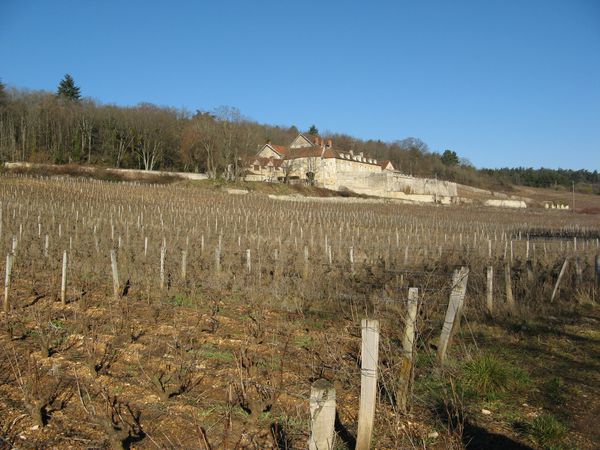Juillet-2011-0898.JPG