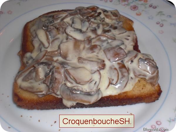 Toasts-aux-champignons.jpg