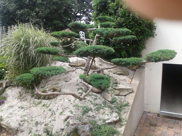 2012-06-27-13.48.18.jpg
