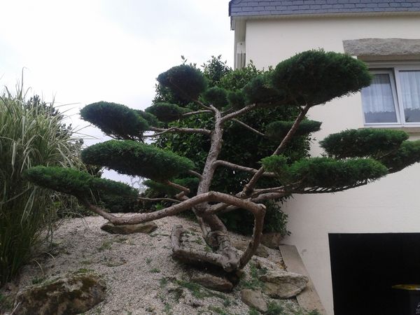 2012-06-27-13.49.06.jpg
