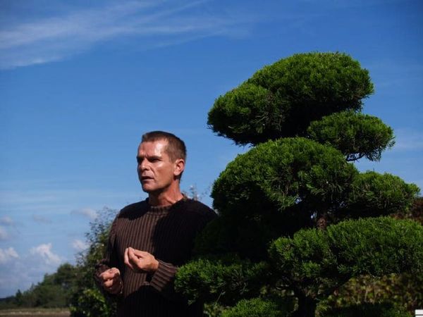 juniperus-sophrol44.jpg