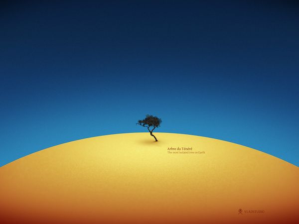 Tenere Tree by vladstudio