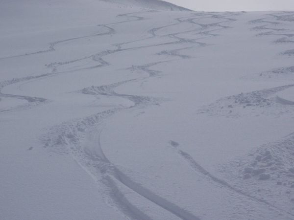 2010-03-24toule19