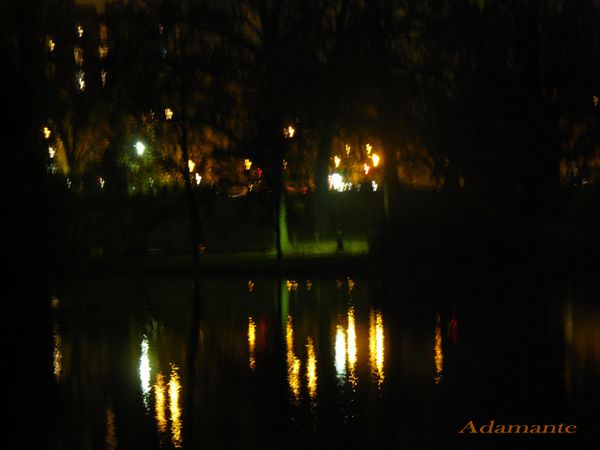 Lac-Buttes-chaumont-de-nuit-copie.jpg