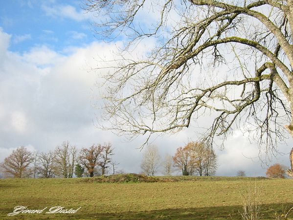 Photo-DESTAL-Creuse--copie-1.jpg