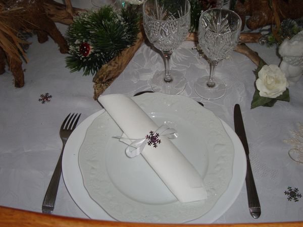 noel 2009 161