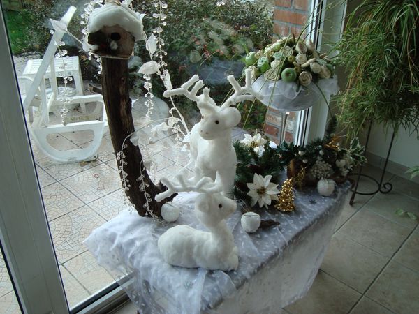 noel 2009 134