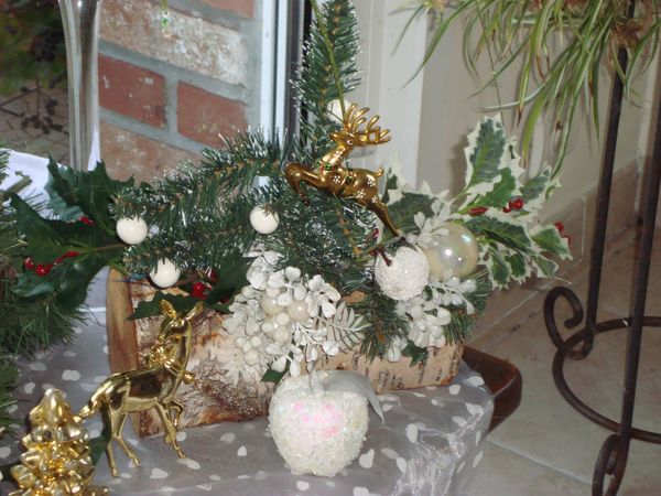 noel 2009 139
