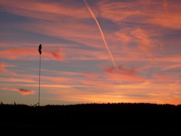Coucher-de-soleil-ChauxNeuve-02.jpg