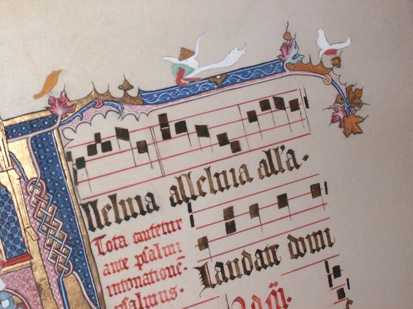 antiphinaire 26