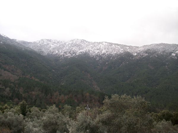 neige 2010-1