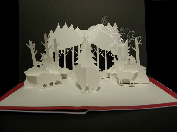 carte-foret-pop-up.jpg