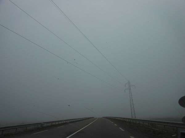 DSCN1683