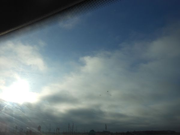 DSCN1684